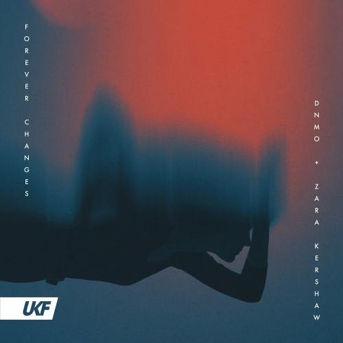DNMO feat. Zara Kershaw - Forever Changes