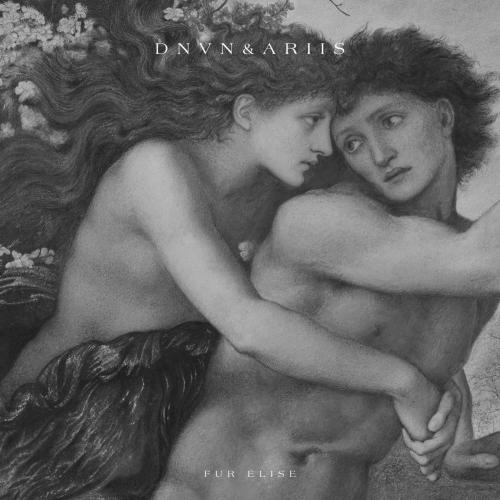 Fur Elise - dnvn & Ariis