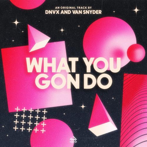 Dnvx & Van Snyder - What You Gon Do