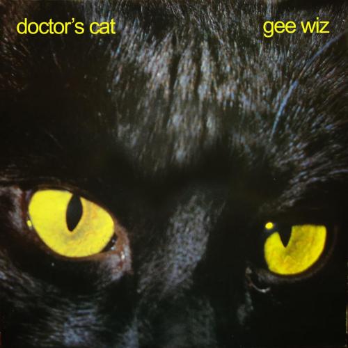Doctor's Cat - Theme from Rodeo William Tell Ouverture