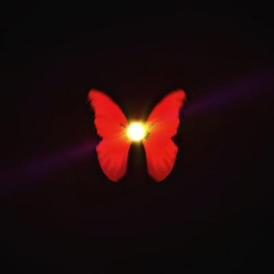 дом двадцать шесть, refuze, 12TAKE! - butterfly