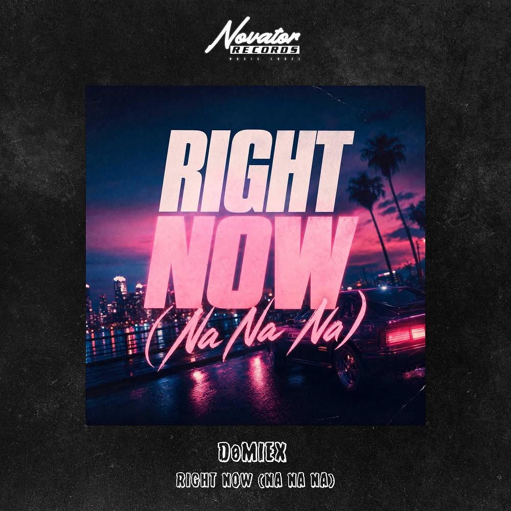 Right Now (Na Na Na) - DØMIEX