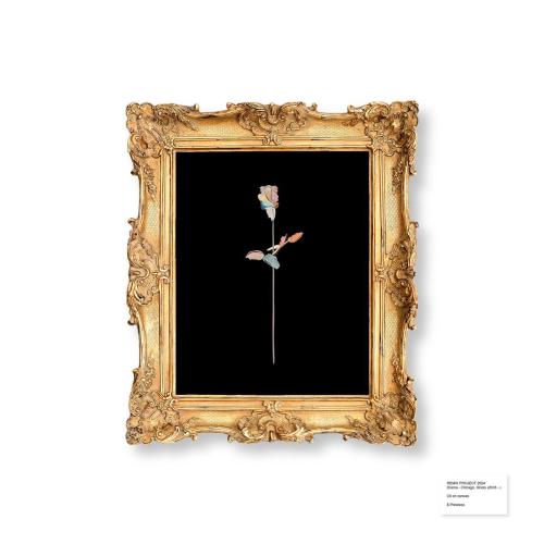 DRAMA, Flight Facilities & Blank Sense - Dollar $hort