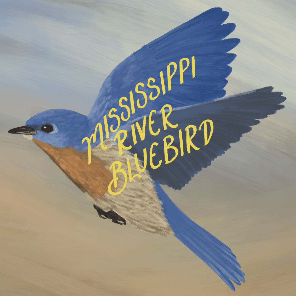 Drew Holcomb & the Neighbors & Jonah Kagen - Mississippi River Bluebird
