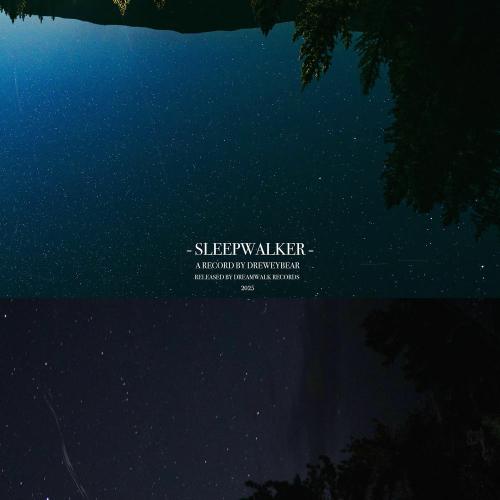 Dreweybear - Sleepwalker