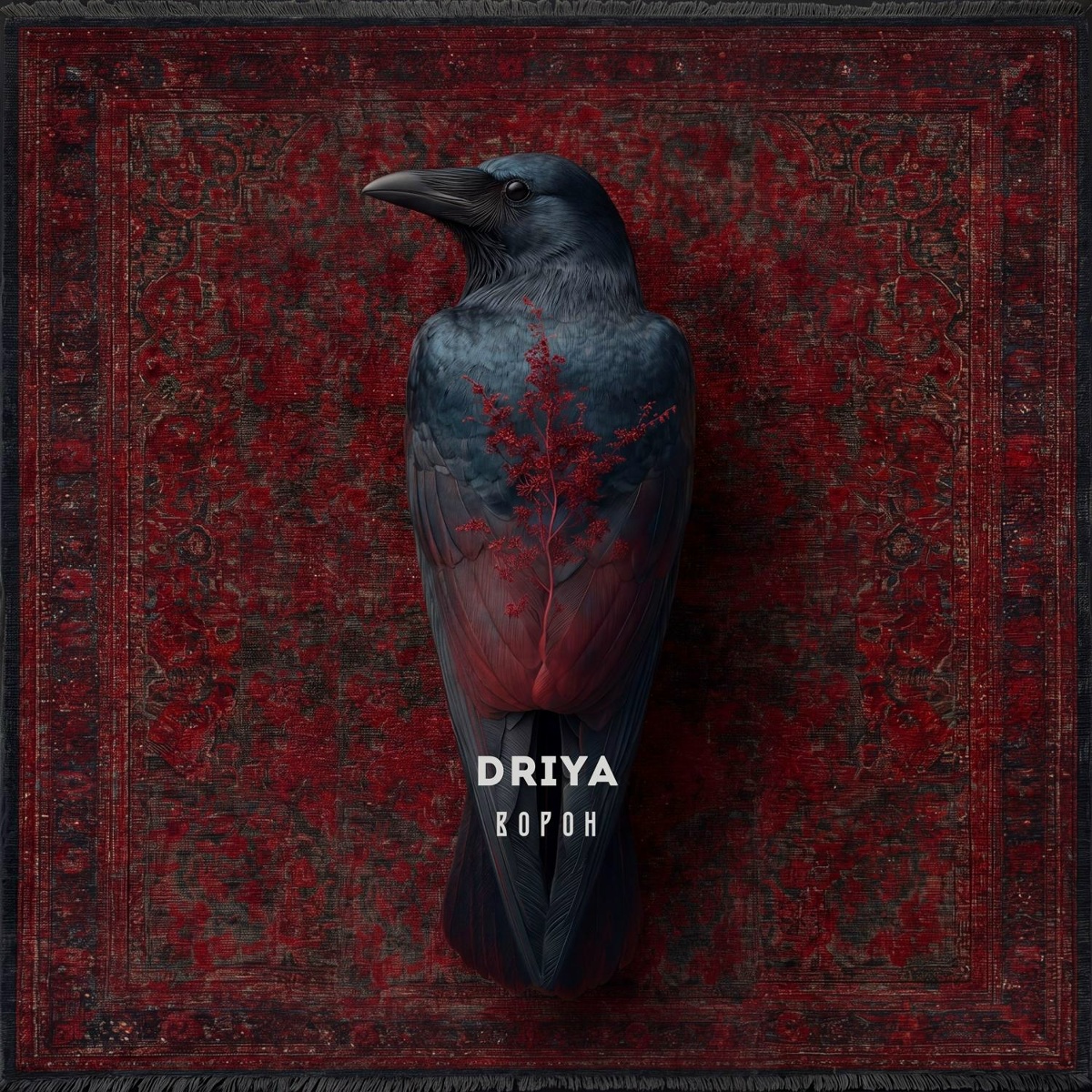 ворон - DRIYA