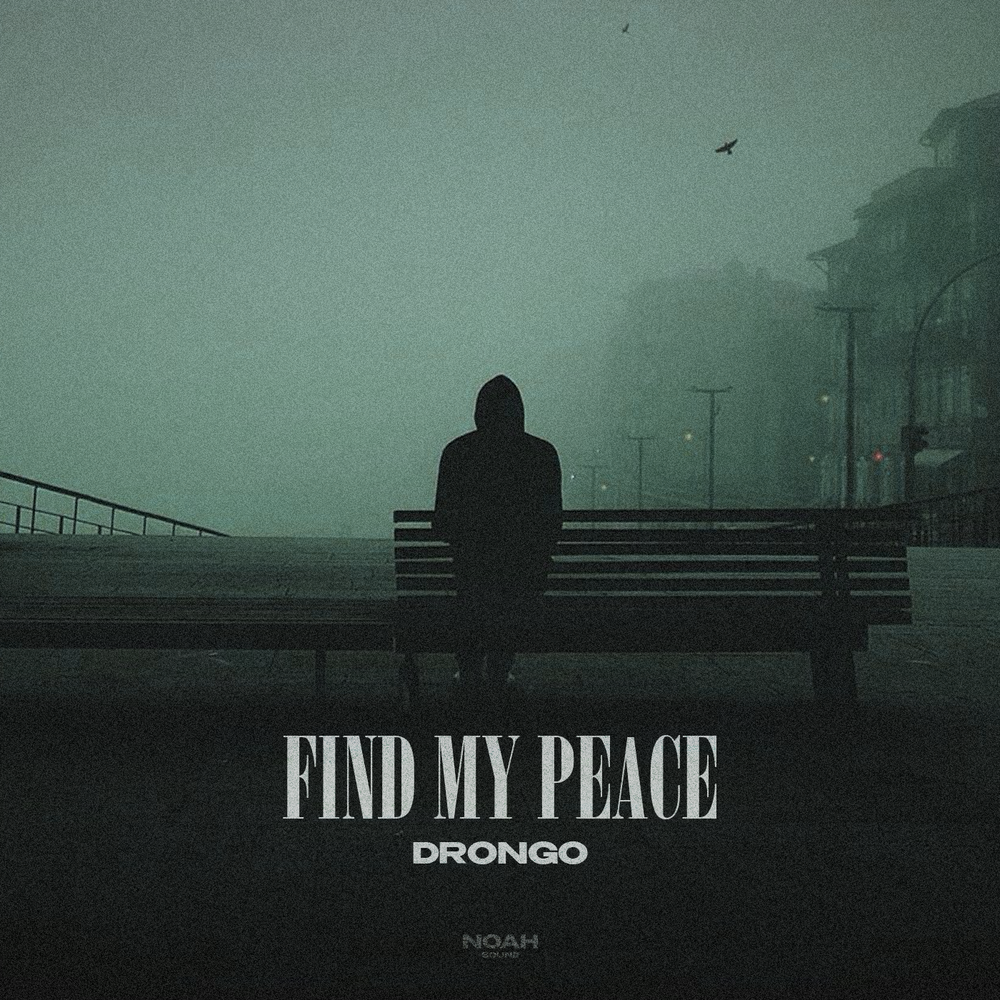Find My Peace (1) - DronGo