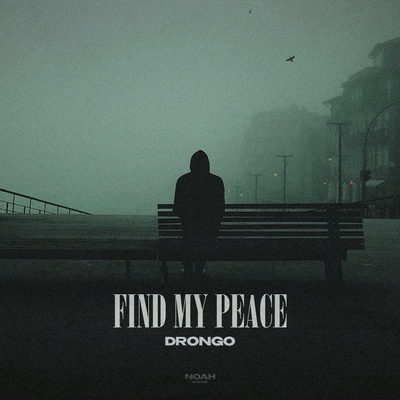 DronGo - Find My Peace