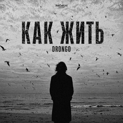 DronGo - Как жить