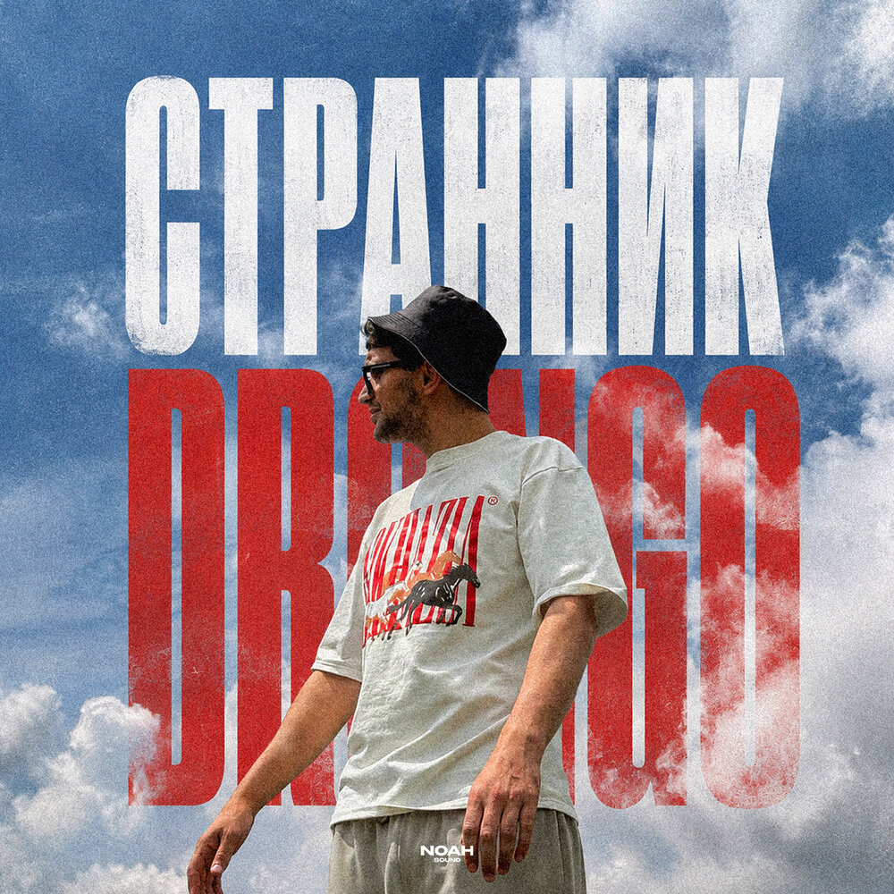 Странник - DronGo