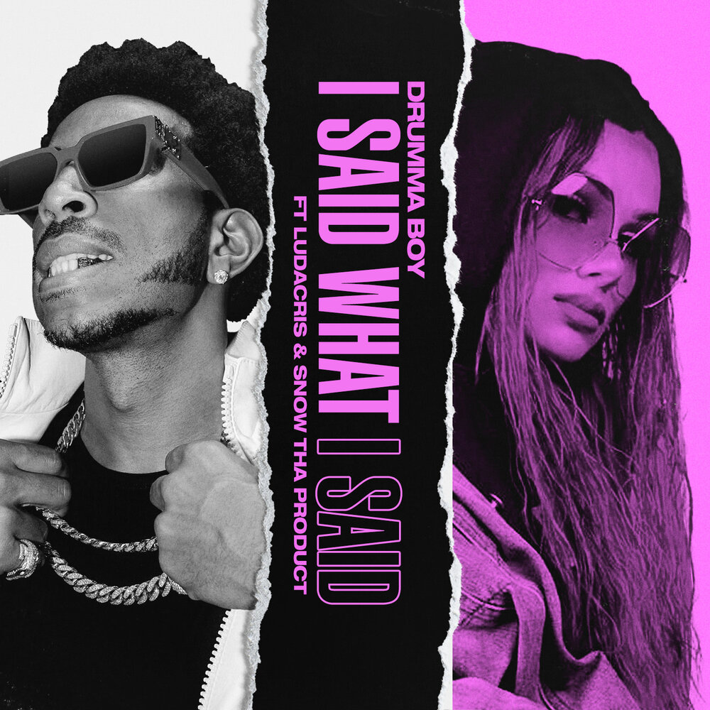 I Said What I Said - Drumma Boy, Ludacris, Snow Tha Product
