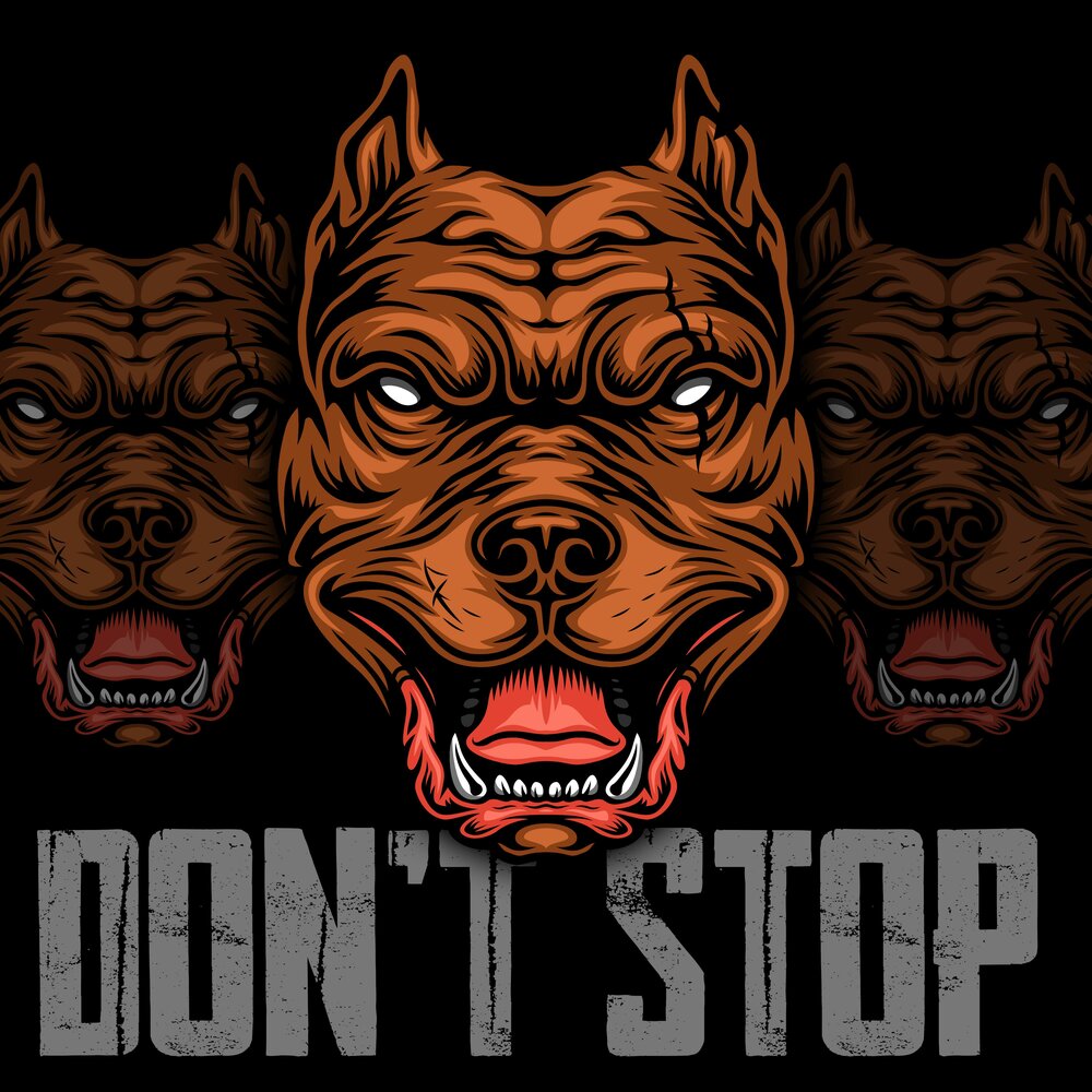 Don't Stop (feat. DMX) - DS-33, DMX