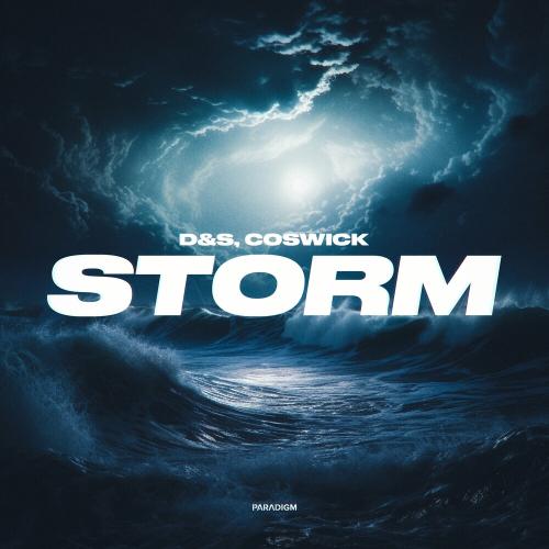 DS feat. Coswick - Storm