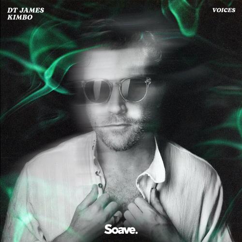 DT James feat. Kimbo - Voices