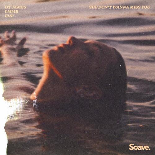 DT James feat. Lmmr & Fini - She Don't Wanna Miss You