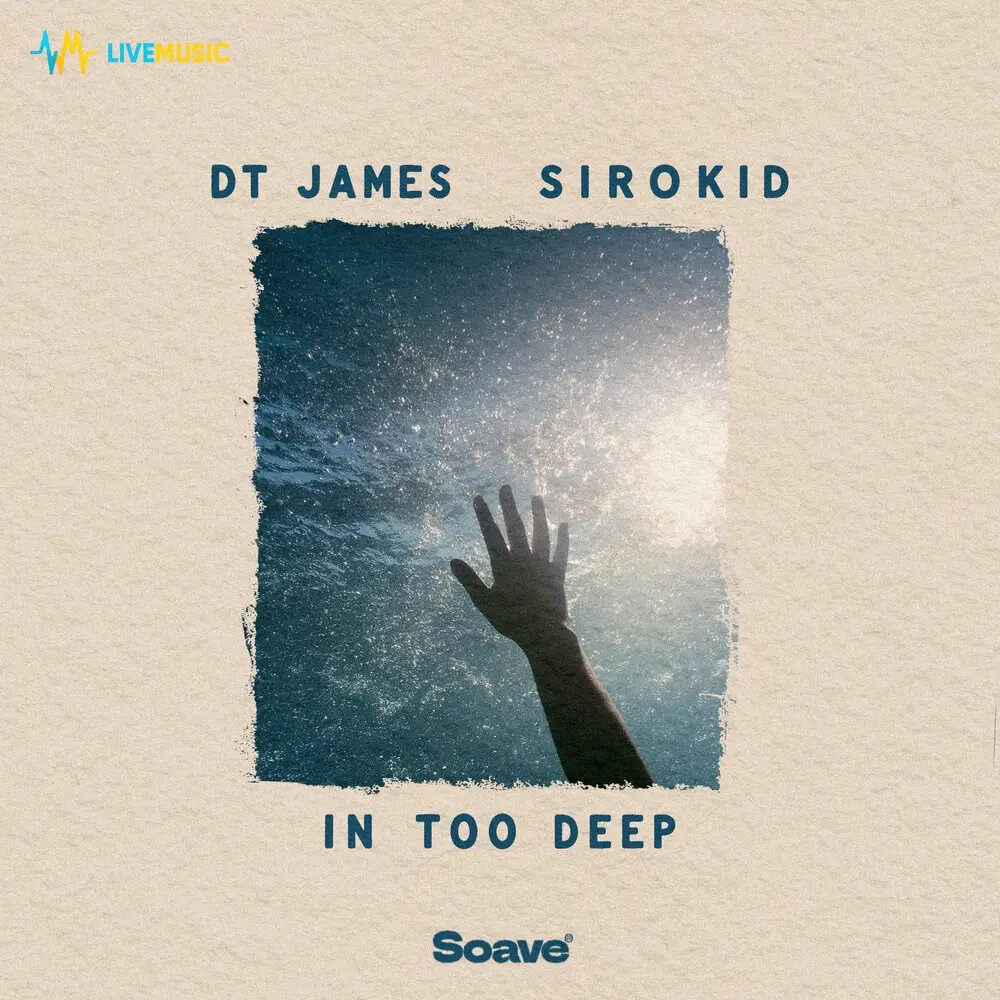 In Too Deep - DT James, Sirokid
