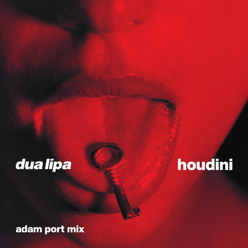 Houdini (Adam Port Mix) - Dua Lipa feat. Adam Port