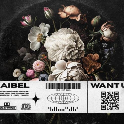 Dubba Jonny, Aibel - Want U