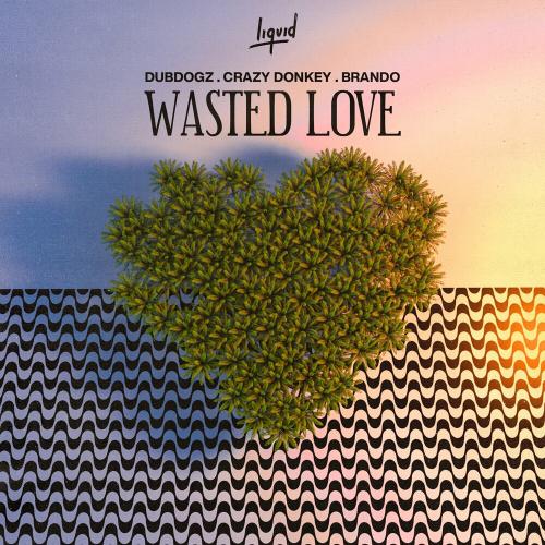 Dubdogz, Crazy Donkey & Brando - Wasted Love