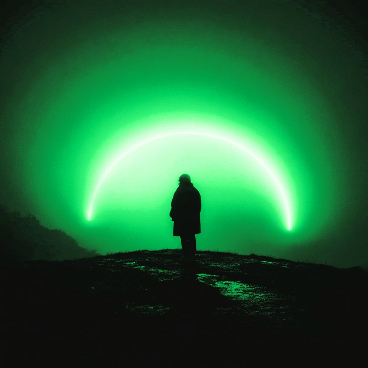 darknet - Dumitresku