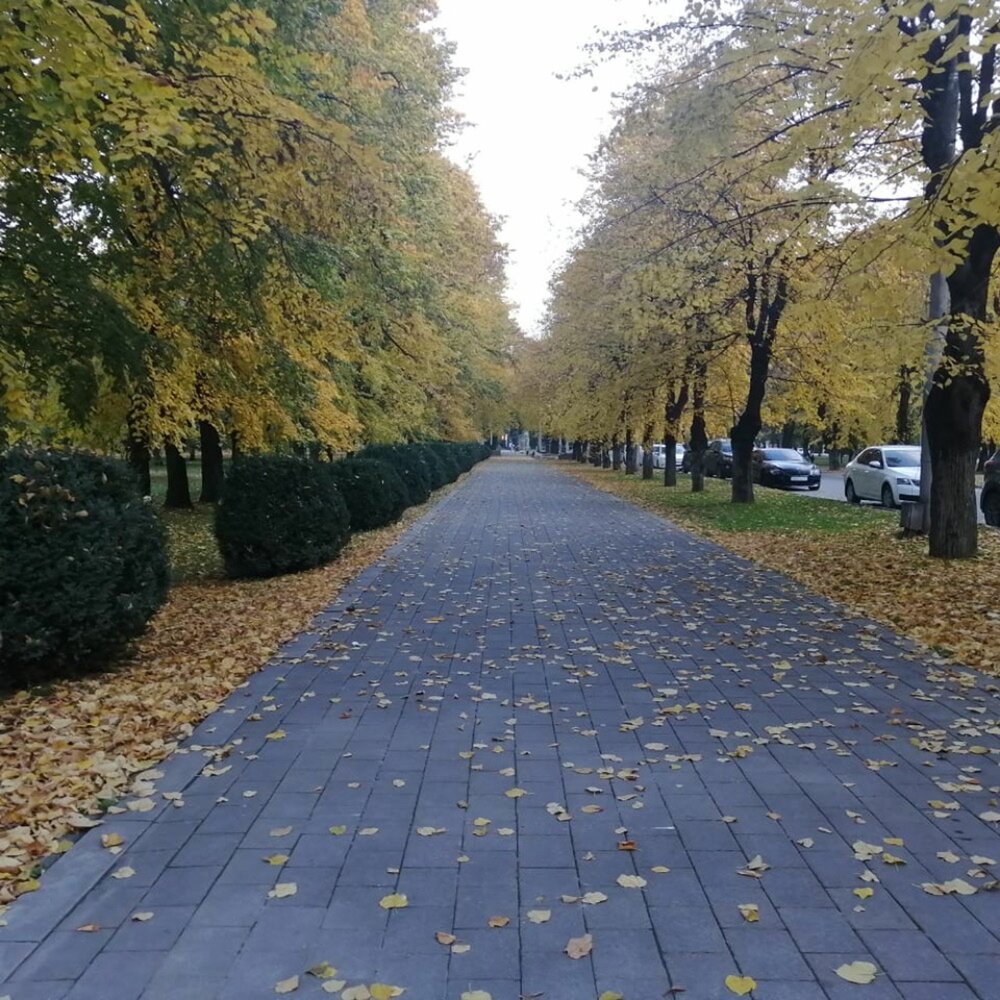 Хочу пригласить тебя в осень - Две.надцать