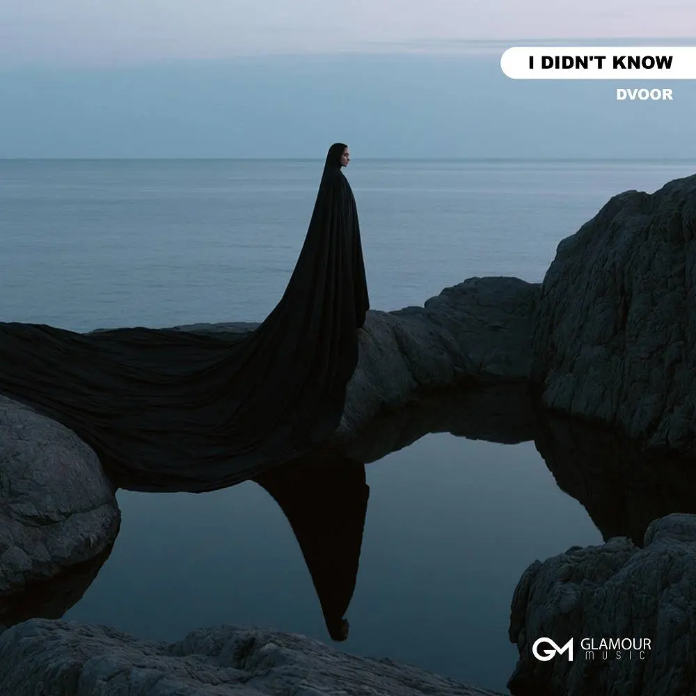 I Didn't Know - DVOOR