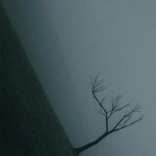 dvoysky - The Abyss