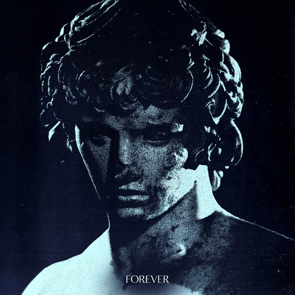 FOREVER - DVRq