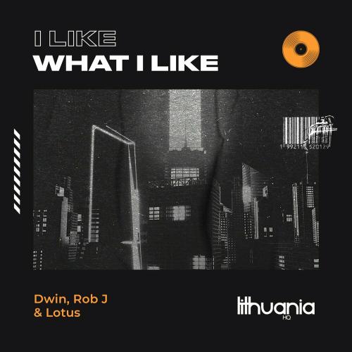 Dwin, Rob J & Lotus - I Like What I Like