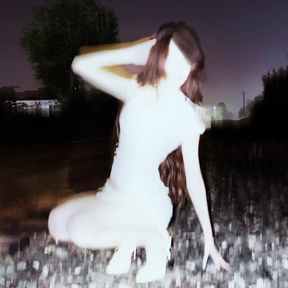 Time Flies (Slowed) - DXNKXR