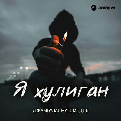 Я хулиган - Джамбулат Магомедов