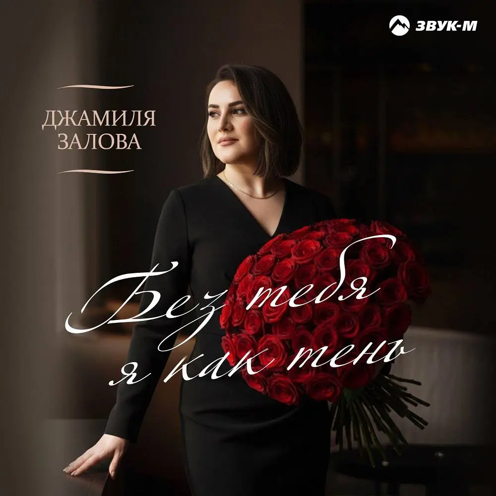 Без тебя я как тень - Джамиля Залова