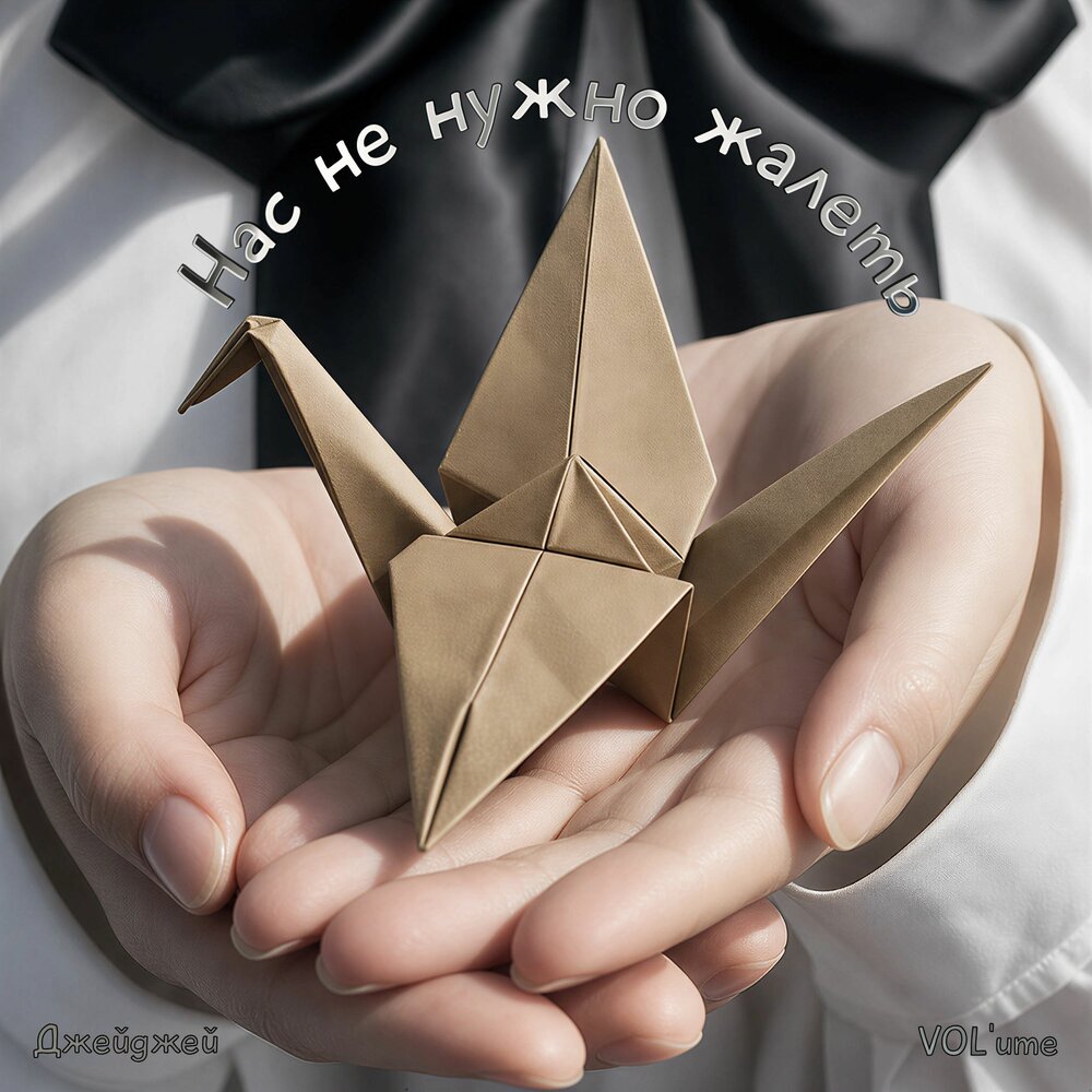 Нас не нужно жалеть - Джейджей, VOL'ume
