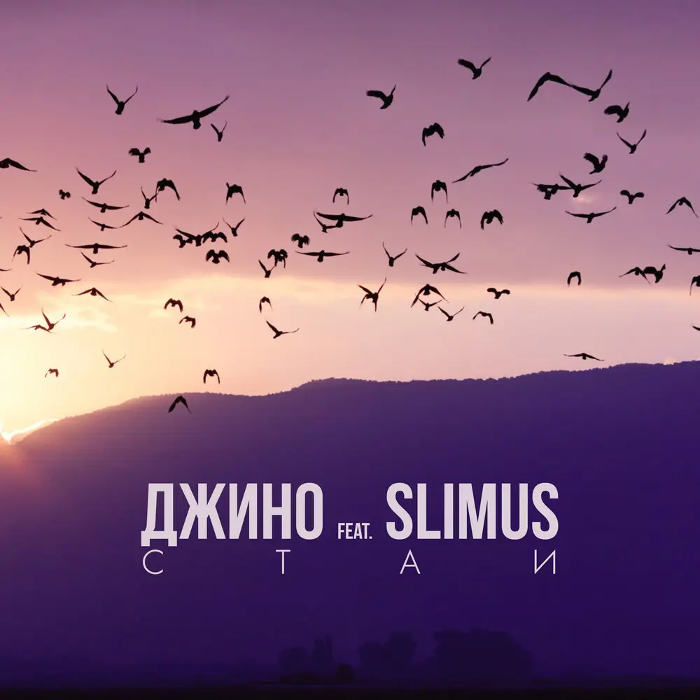 Стаи - Джино, SLIMUS
