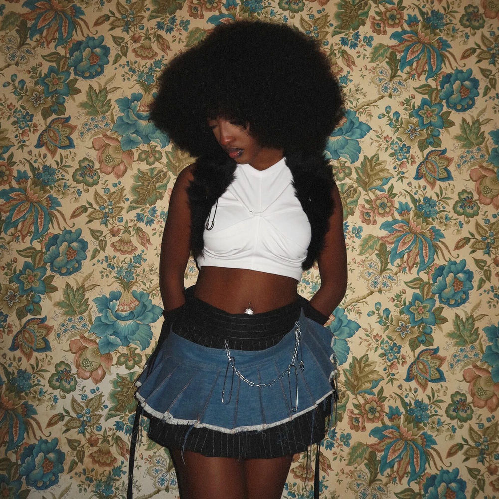 Ebony - Mon Paradis