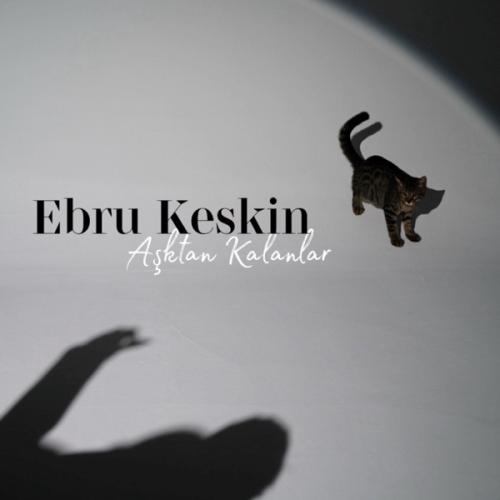 Ebru Keskin - Aşktan Kalanlar