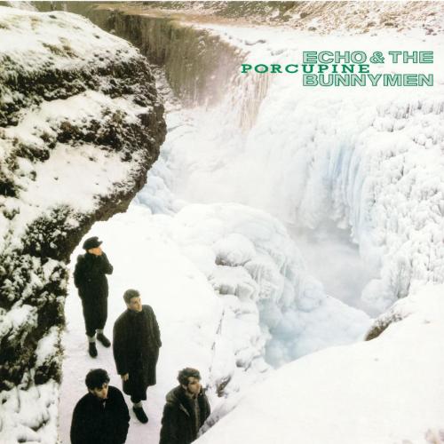 Echo & The Bunnymen - The Back of Love