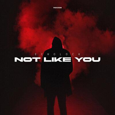 ECHOLOCK - Not Like You