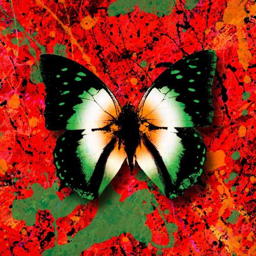 Ed Sheeran feat. Denise Chaila - 2step