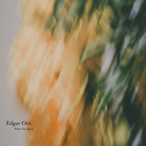 Edgar Orn - What You Need