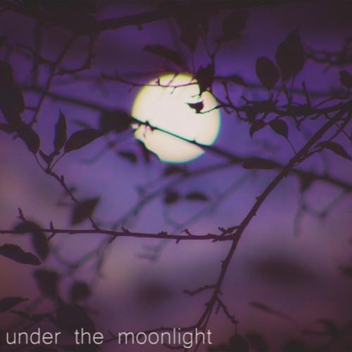 Edmofo - Under the Moonlight