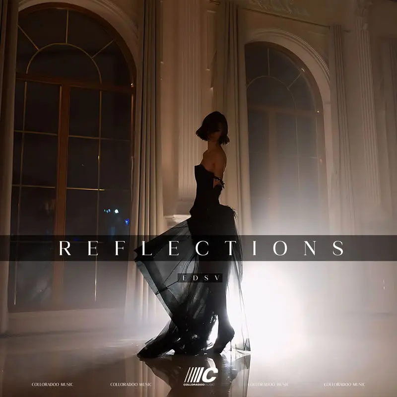 Reflections - EDSV & Colloradoo