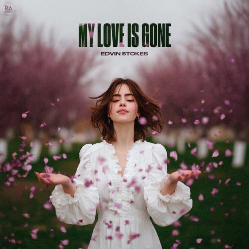 Edvin Stokes - My Love Is Gone