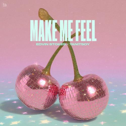 Edvin Stokes & Tanitsoy - Make Me Feel