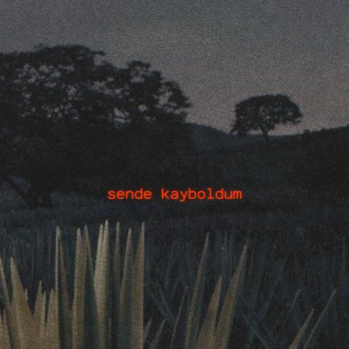 Sende Kayboldum - Efe Aydin