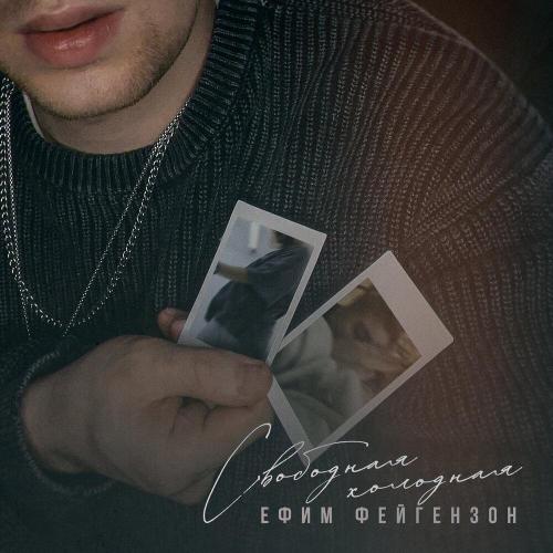 Ефим Фейгензон - Свободная холодная