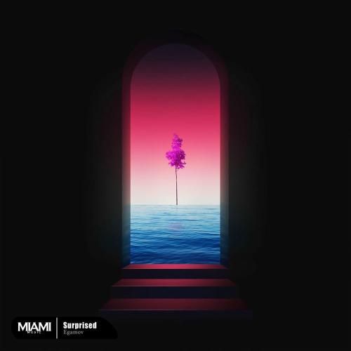 Egamov - Surprised