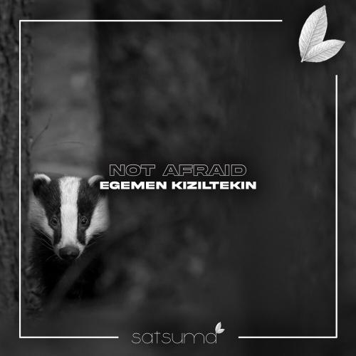 Egemen Kızıltekin - Not Afraid