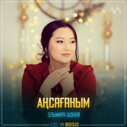 Эльмира Шонай - Аңсағаным