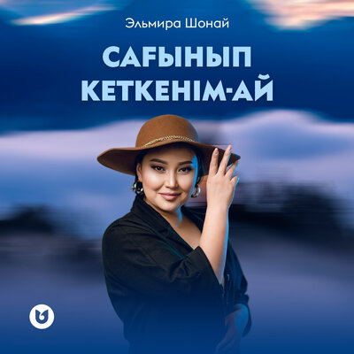 Сағынып кеткенім-ай - Эльмира Шонай